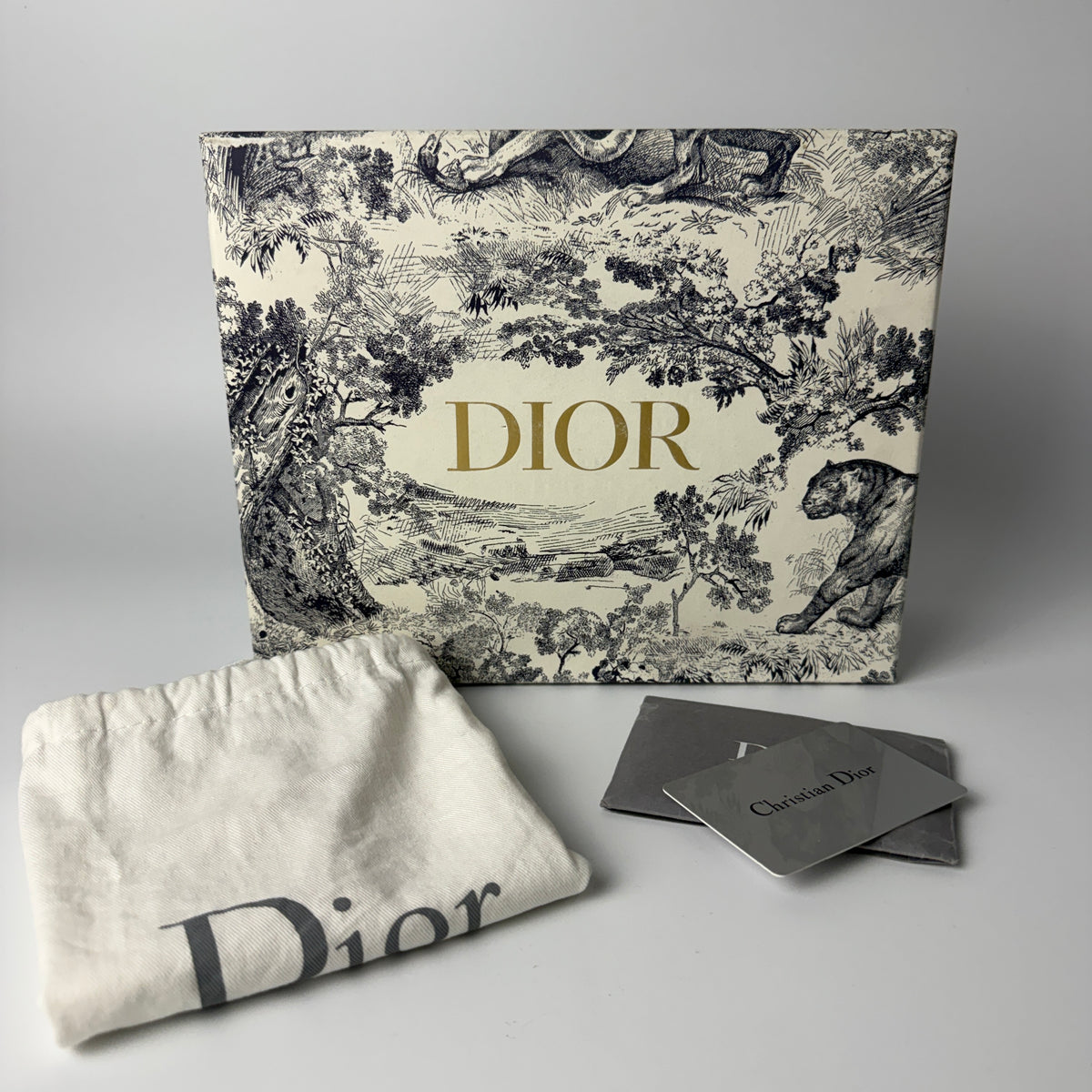 Dior Lady Mini