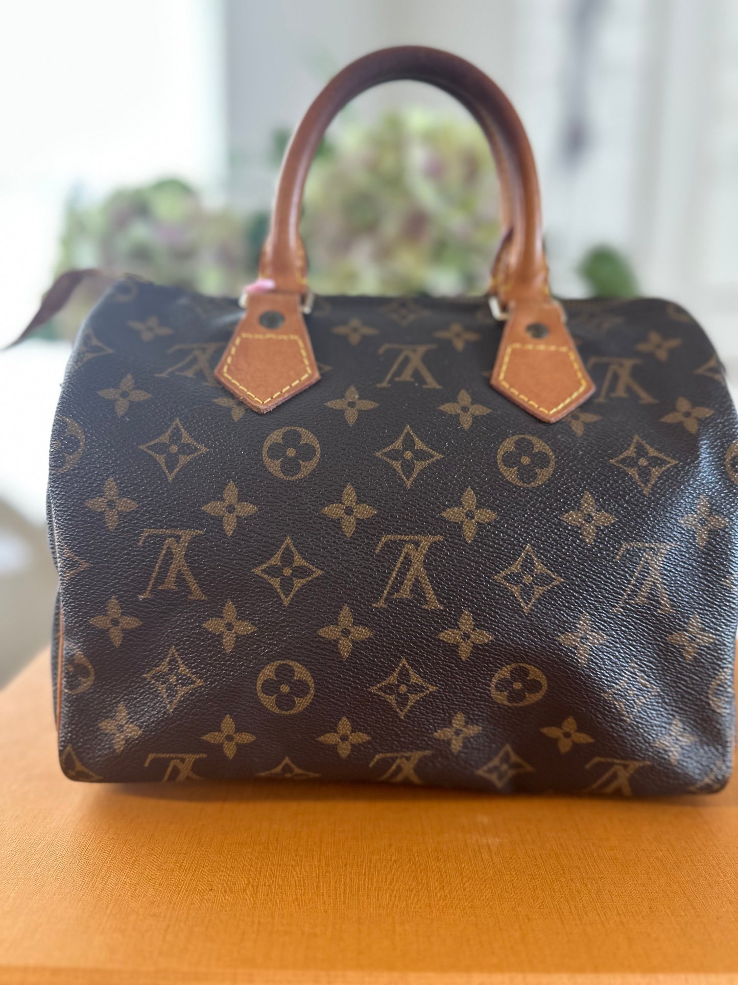 Louis Vuitton Speedy 25