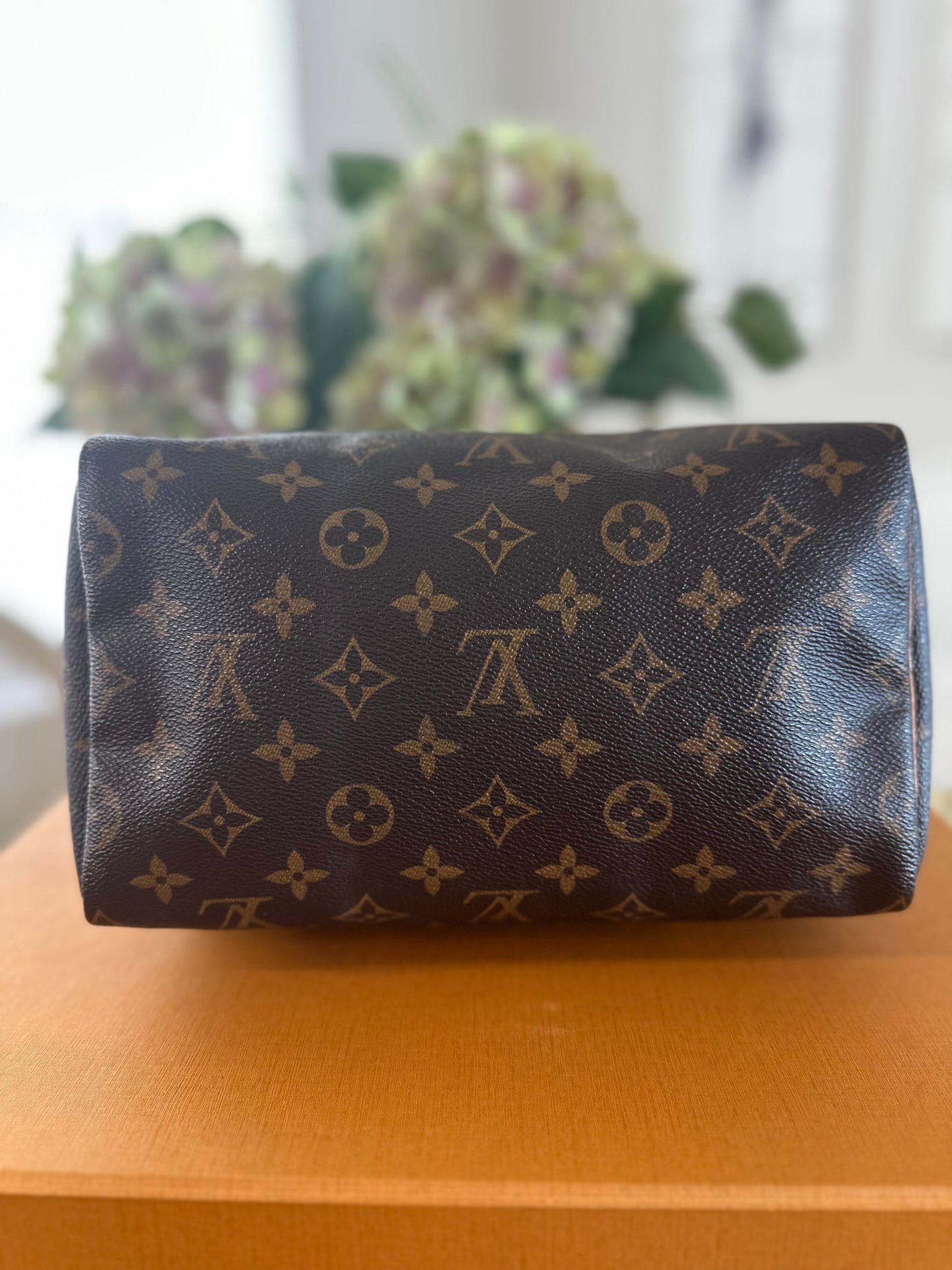 Louis Vuitton Speedy 25