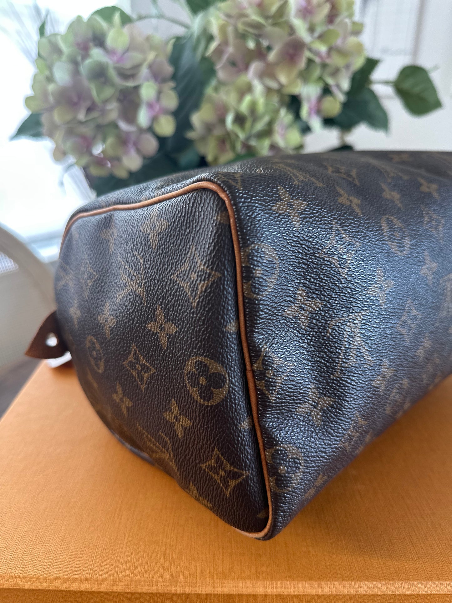 Louis Vuitton Speedy 25