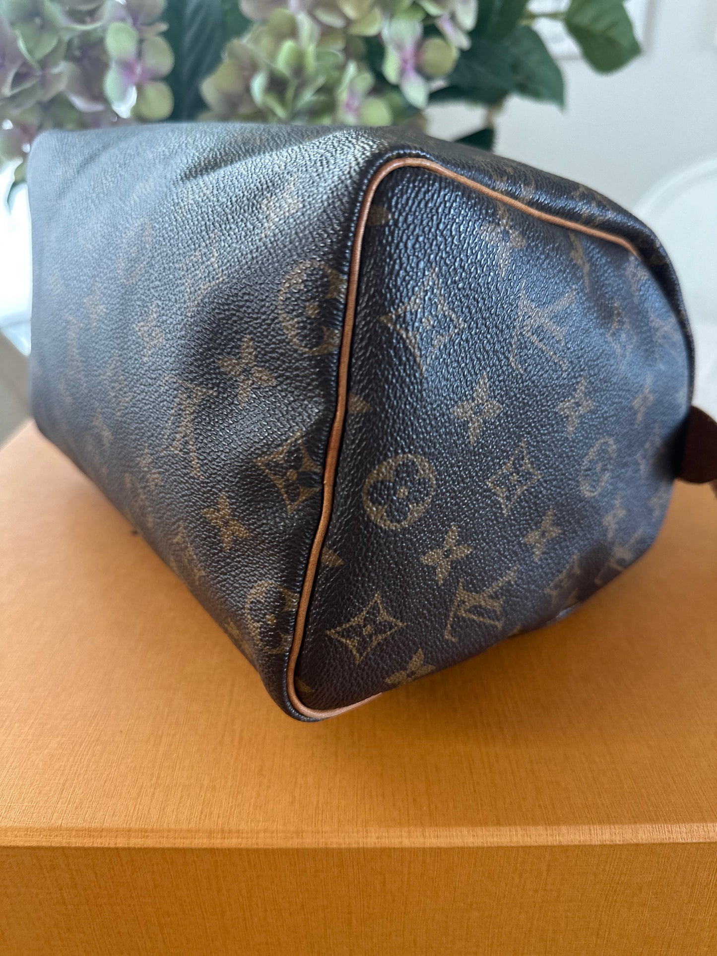 Louis Vuitton Speedy 25