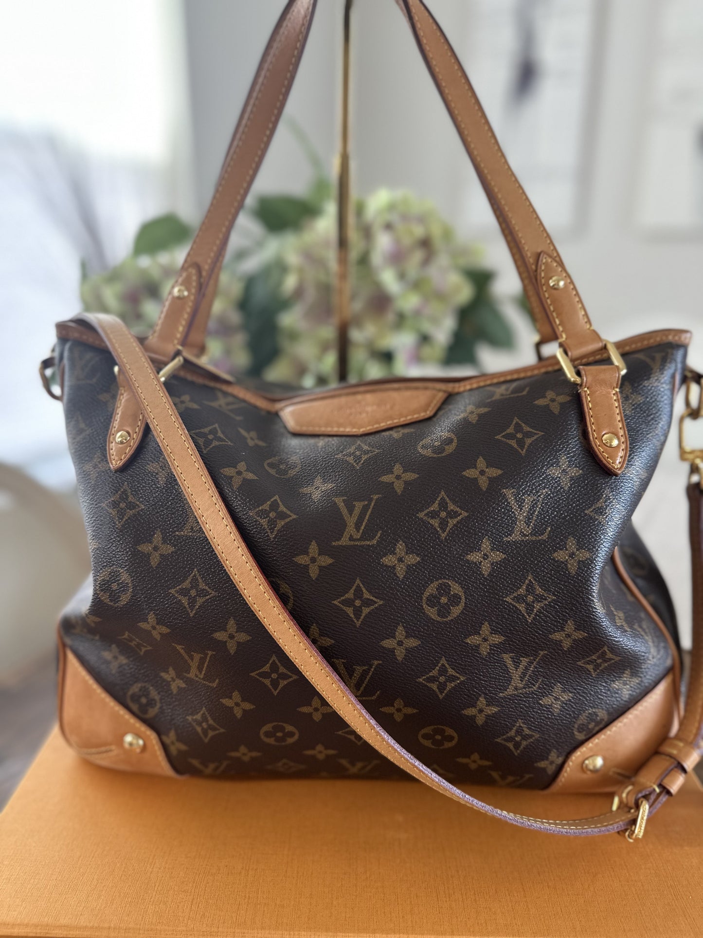 Louis Vuitton Estrella MM
