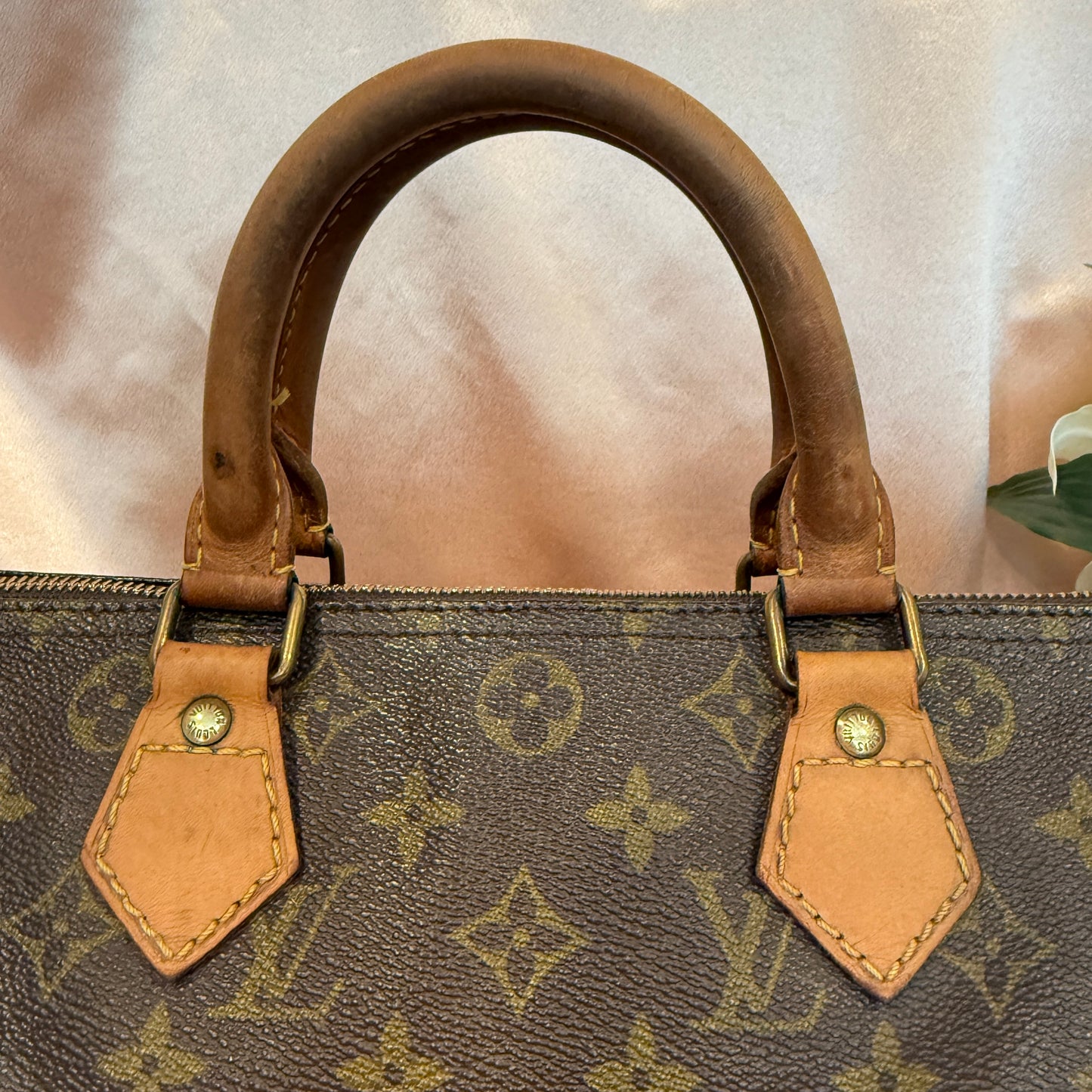 Louis Vuitton Speedy 30
