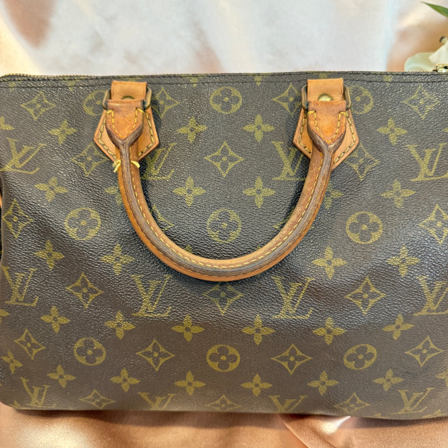 Louis Vuitton Speedy 30