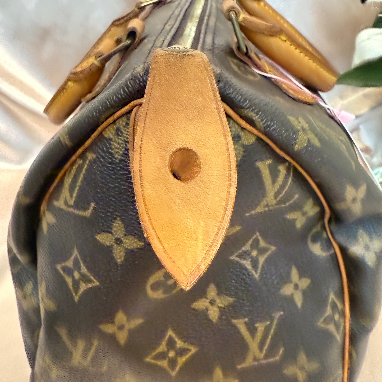 Louis Vuitton Speedy 30