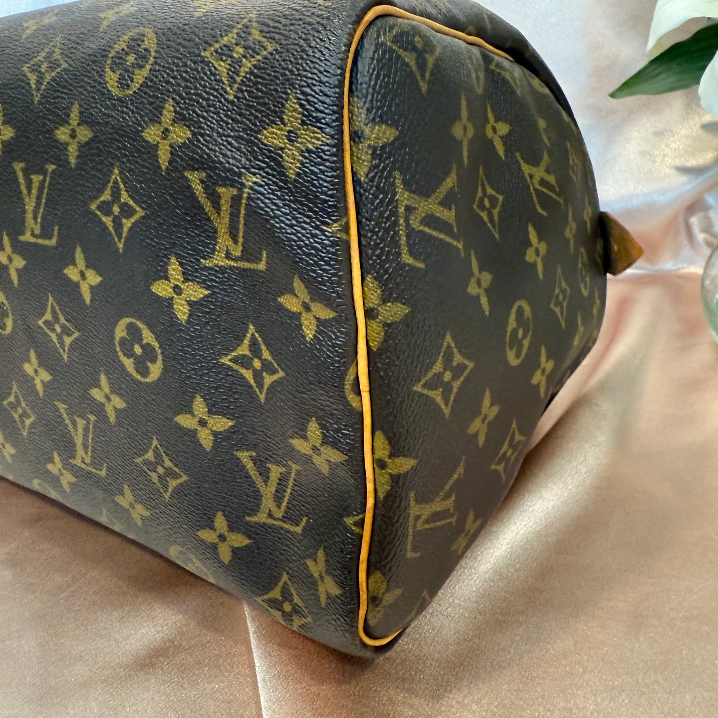 Louis Vuitton Speedy 30