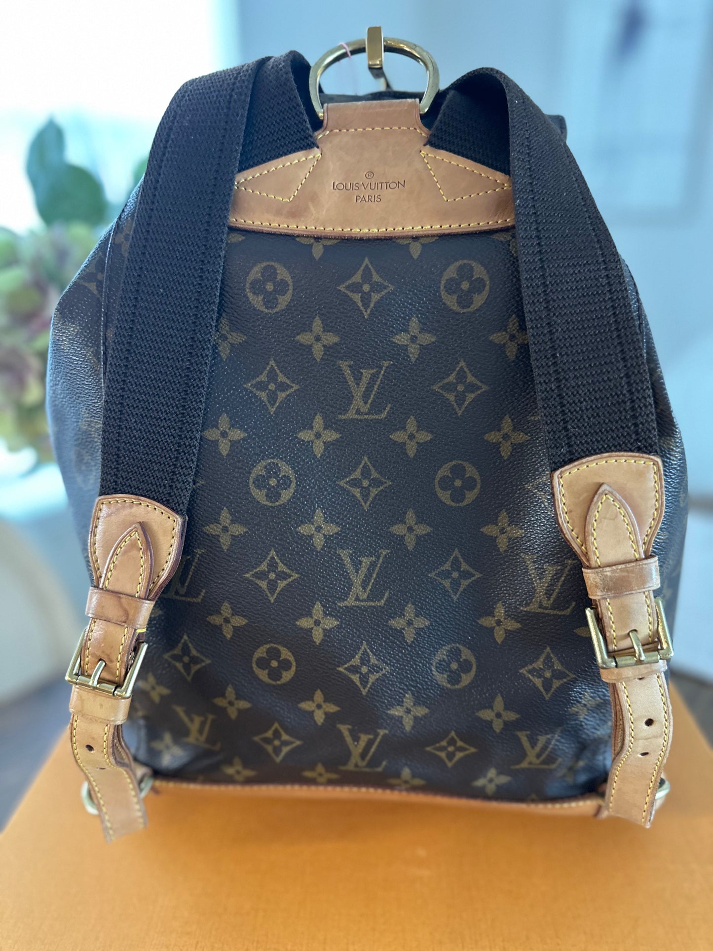 Louis Vuitton Montsouris GM